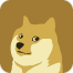 DOGE (Dogecoin) icon