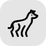 Greyhound Racing icon