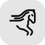 Horse Racing icon